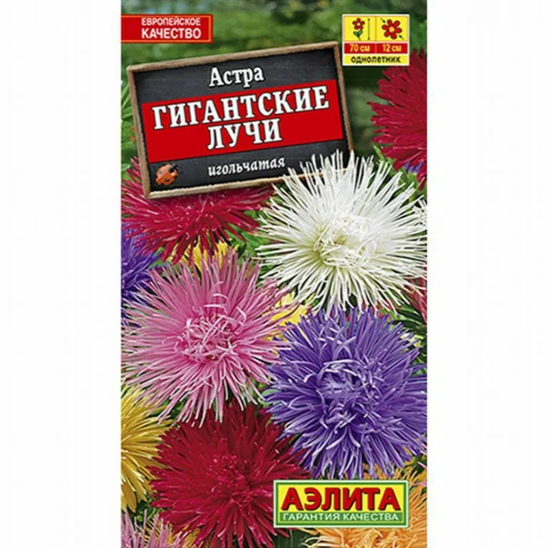  Астра Гигантские Лучи, смесь игольчатая 0,2г 70см /511-1/ АЭ (26)