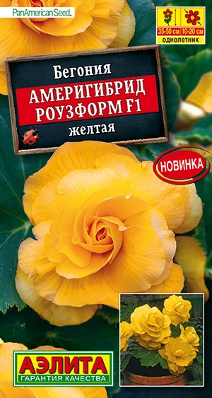  Бегония комнатная Америгибрид Роузформ F1 желтая 5шт 35-50см /644-2/ АЭ * (25) УЦЕНКА