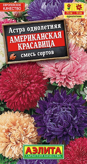  Астра Американская Красавица, смесь 0,2г 70см /512-1/ АЭ (25) 