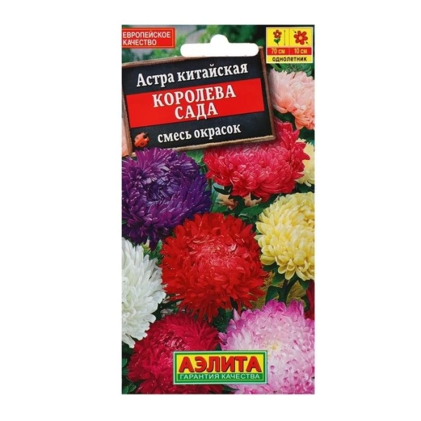  Астра Королева Сада, смесь 0,2г 70см /507/ АЭ (25)