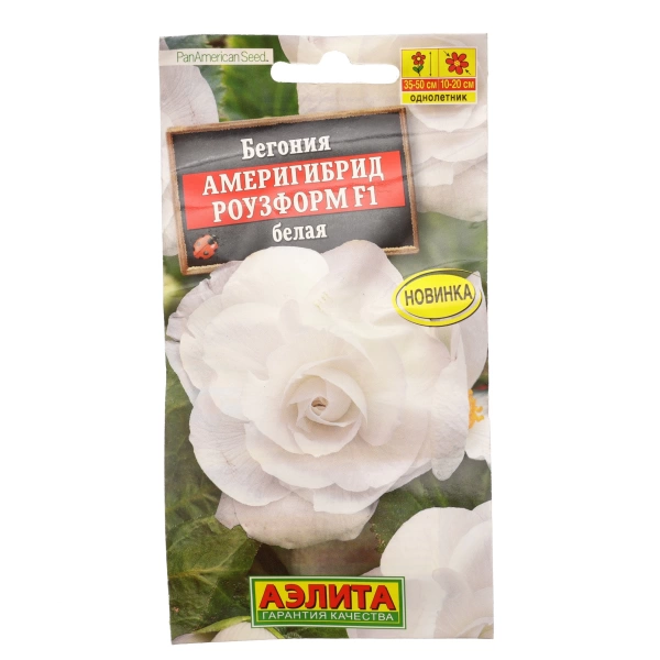  Бегония комнатная Америгибрид Роузформ F1 белая 5шт 35-50см /648/ АЭ * (25)  УЦЕНКА