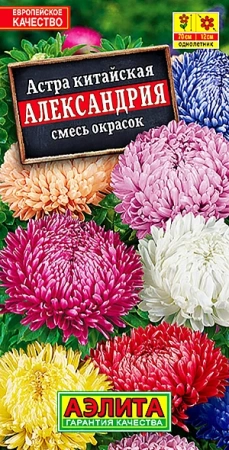  Астра Александрия, смесь сортов 0,2г 70см /317/ АЭ (26)