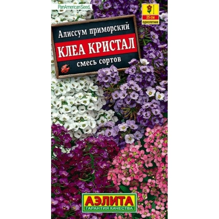  Алиссум Клеа Кристал, смесь 5шт 25см /657-1/ АЭ (26,27)